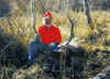 elk_horns_2.jpg (173867 bytes)
