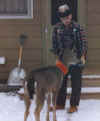 pet_deer.jpg (34358 bytes)